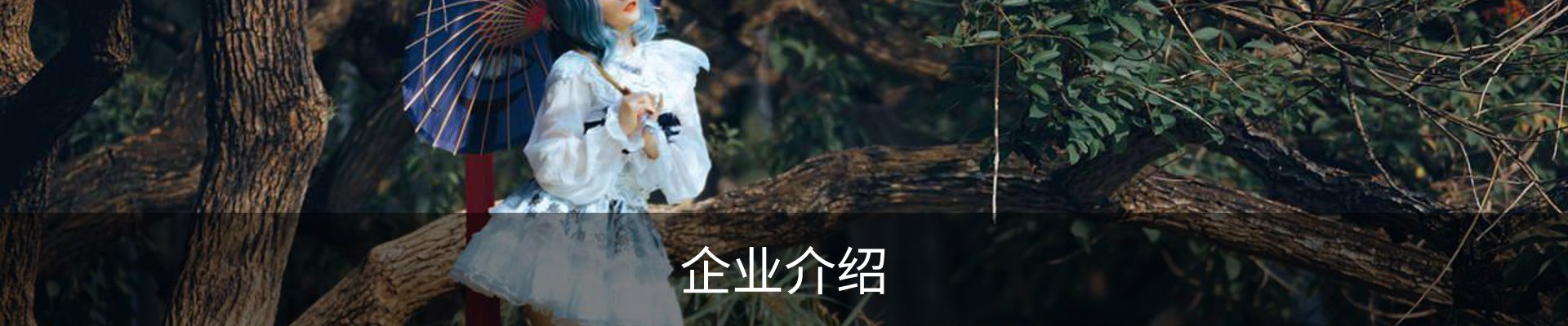 企业介绍